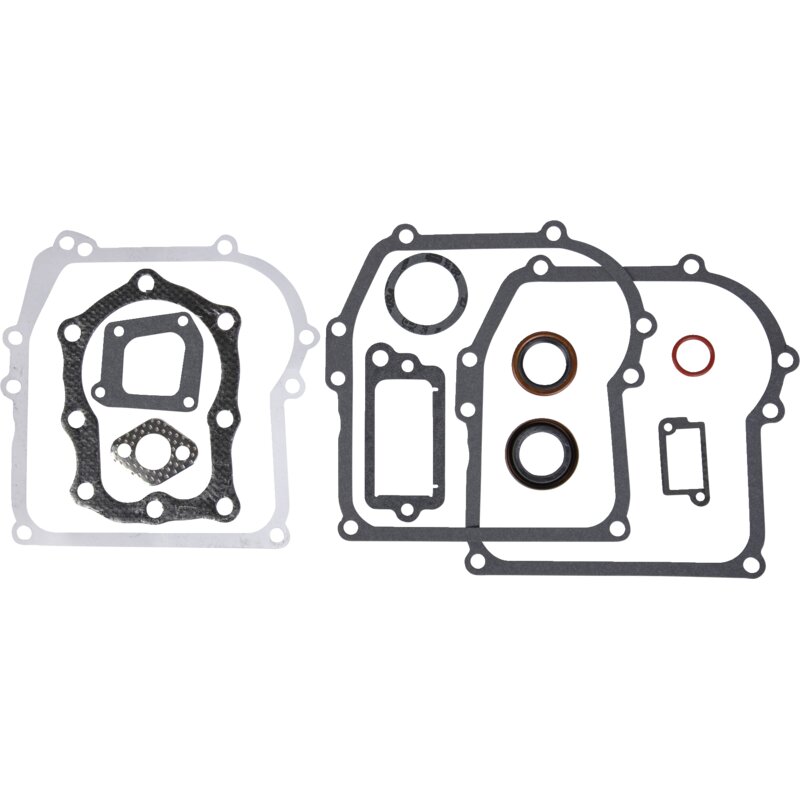 Briggs und Stratton Dichtungssatz 391662 Briggs und Stratton