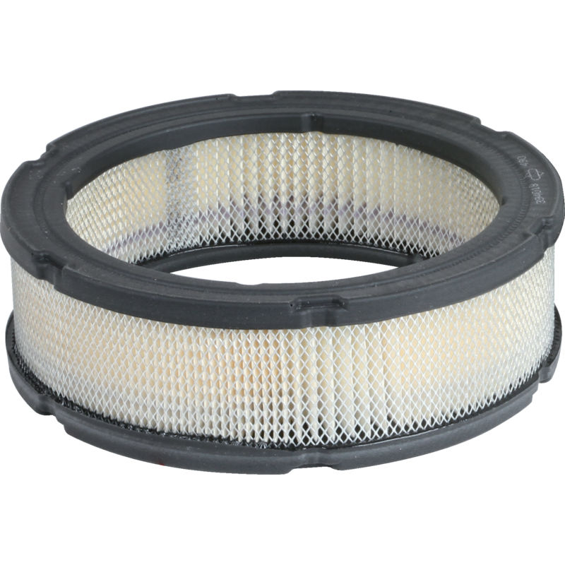 Briggs und Stratton Luftfilter 394018S Briggs und Stratton