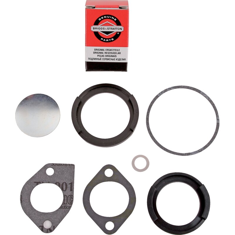 Briggs und Stratton Vergaserreparatursatz 394698 Briggs und Stratton
