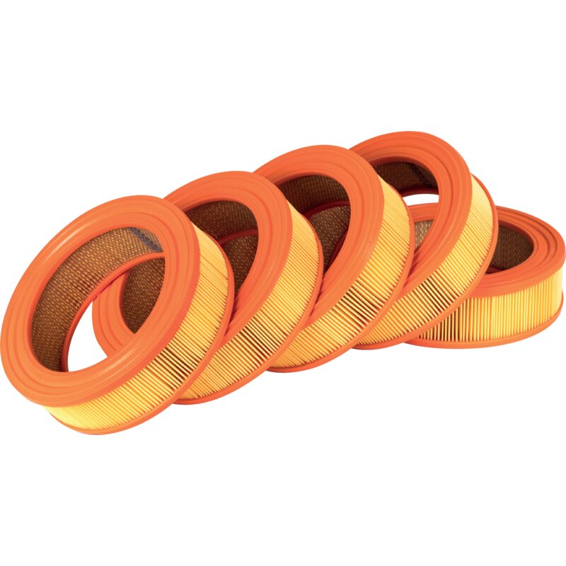 Briggs und Stratton Luftfilter-Set 5 Stk 692519, 5 Stück 4232 Briggs und Stratton