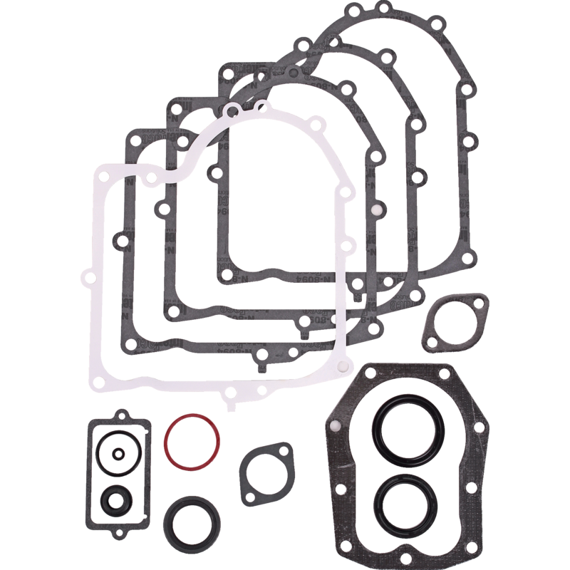 Briggs und Stratton Motordichtsatz 494241 Briggs und Stratton