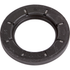 Briggs und Stratton Dichtring 495307S Briggs und Stratton