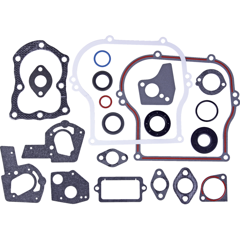 Briggs und Stratton Dichtungssatz 495603 Briggs und Stratton