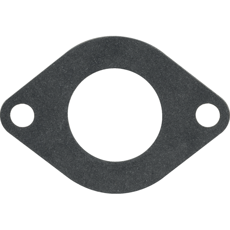 Briggs und Stratton Einlassdichtung 590396 Briggs und Stratton