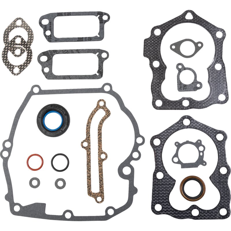 Briggs und Stratton Motordichtsatz erstzt 497316, 794307 590508 Briggs und Stratton