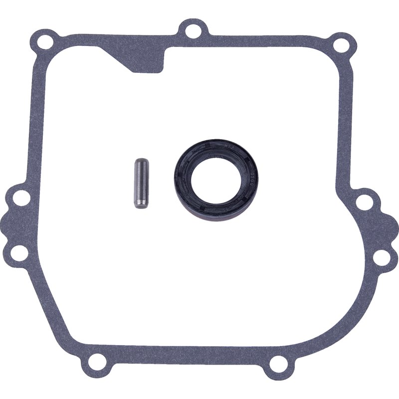 Briggs und Stratton Ölwanne 590569 Briggs und Stratton