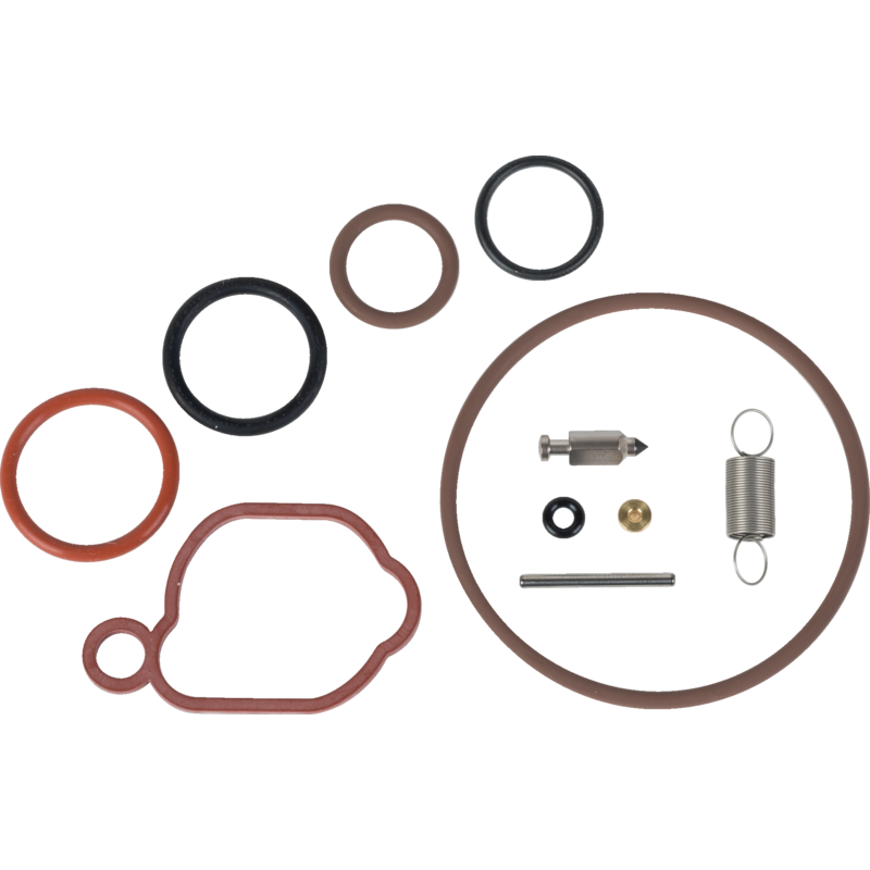 Briggs und Stratton Vergaserreparatursatz 590589 Briggs und Stratton