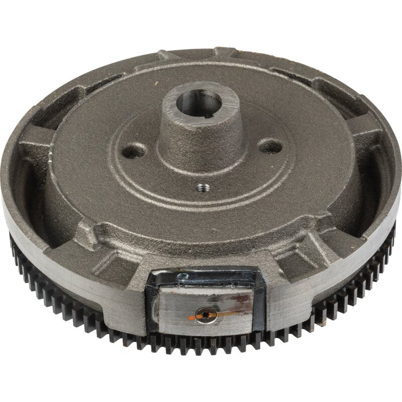 Briggs und Stratton Schwungrad Briggs und Stratton