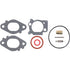 Briggs und Stratton Vergaserüberholsatz Briggs und Stratton