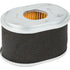 Briggs und Stratton Luftfilter 594146 Briggs und Stratton