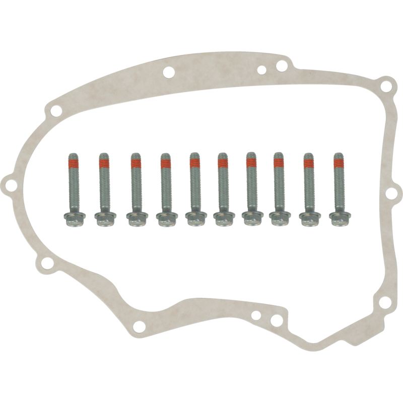 Briggs und Stratton Dichtungssatz Briggs und Stratton