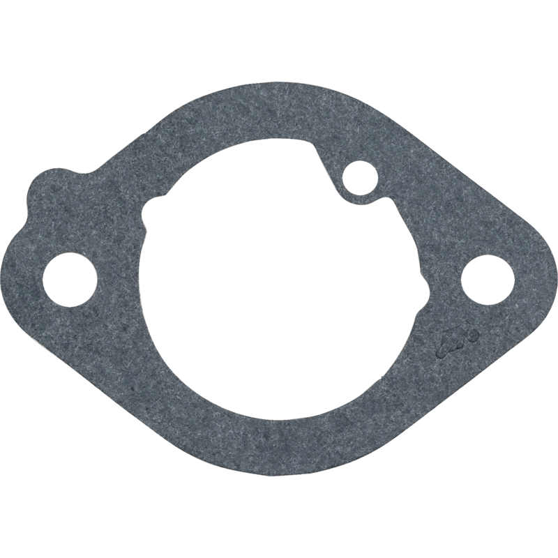 Briggs und Stratton Einlassdichtung Briggs und Stratton