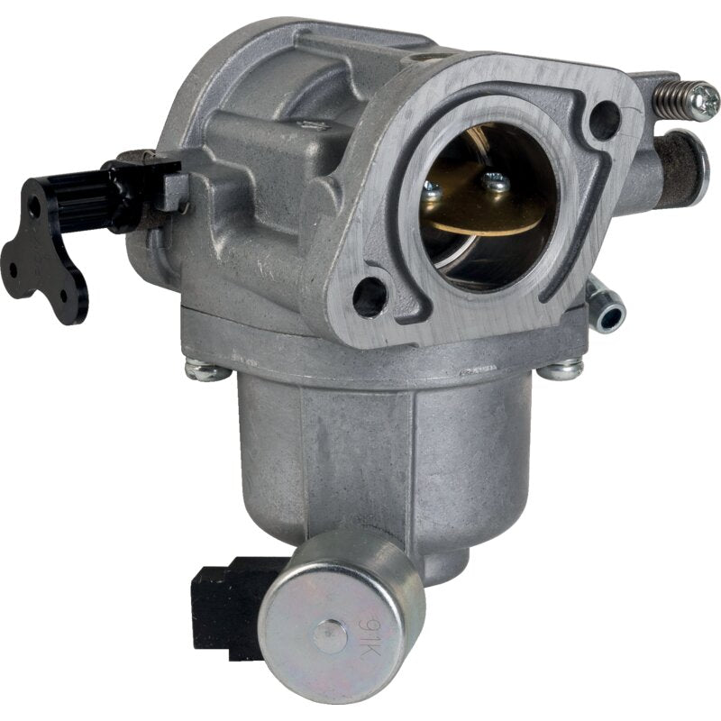 Briggs und Stratton Vergaser