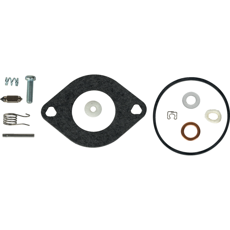 Briggs und Stratton Vergaserüberholkit 594886 Briggs und Stratton