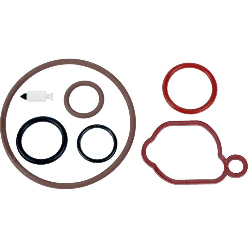 Briggs und Stratton Vergaserüberholkit 595174 Briggs und Stratton