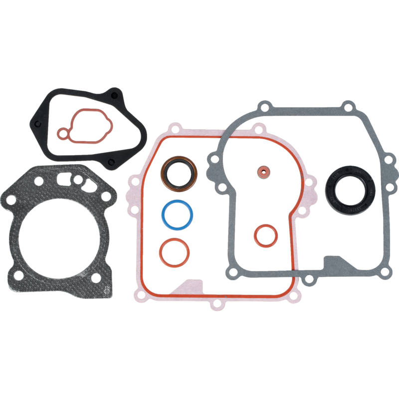Briggs und Stratton Dichtringesatz-Motor 595354 Briggs und Stratton