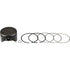 Briggs und Stratton Kolbenbaugruppe 595502 Briggs und Stratton