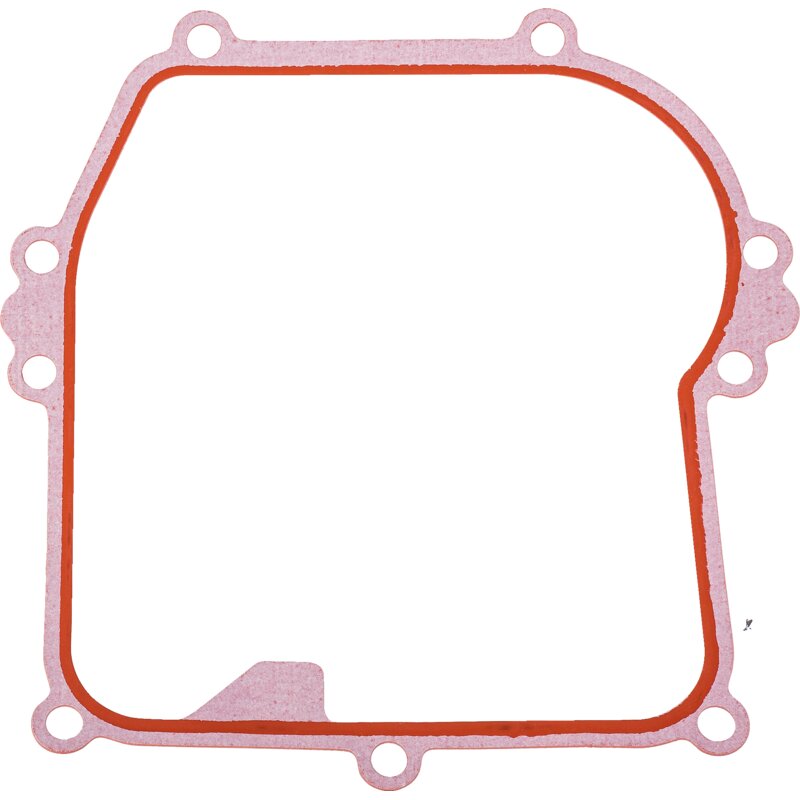 Briggs und Stratton Dichtring-Kurbelgehause 596504 Briggs und Stratton
