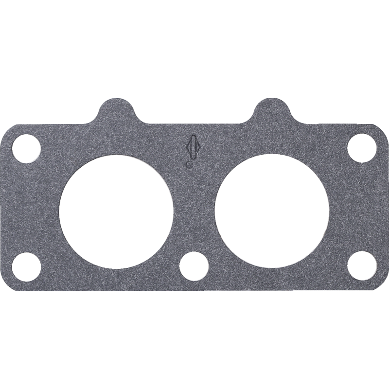 Briggs und Stratton Dichtung 690950 Briggs und Stratton