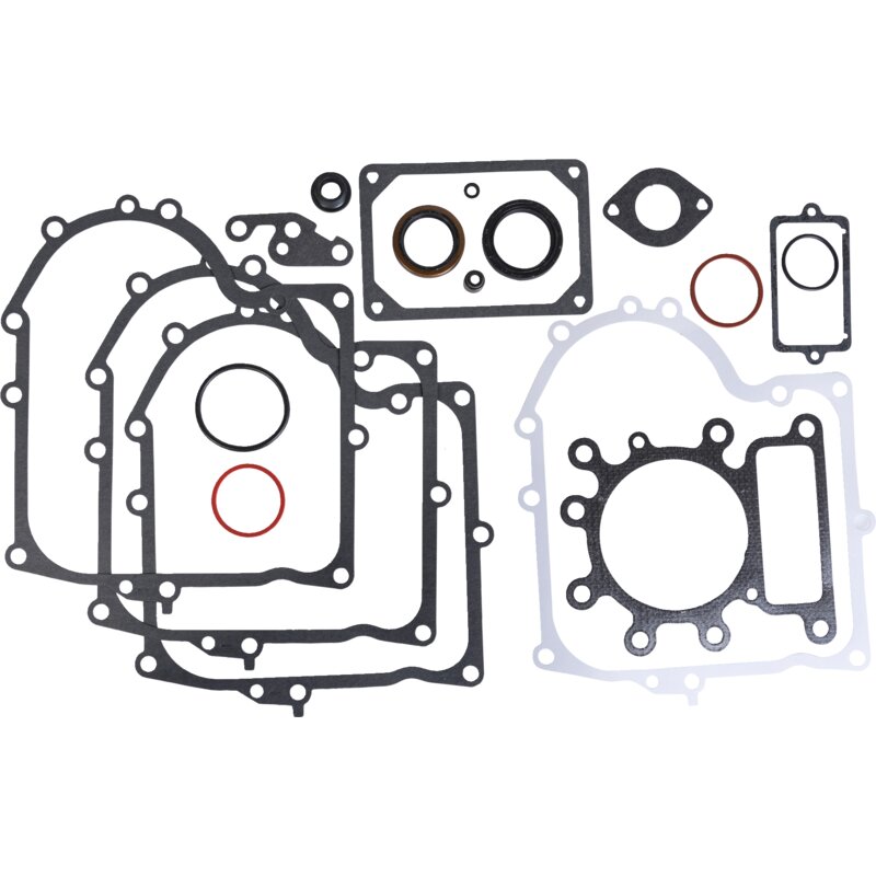 Briggs und Stratton Dichtungssatz 691580 Briggs und Stratton