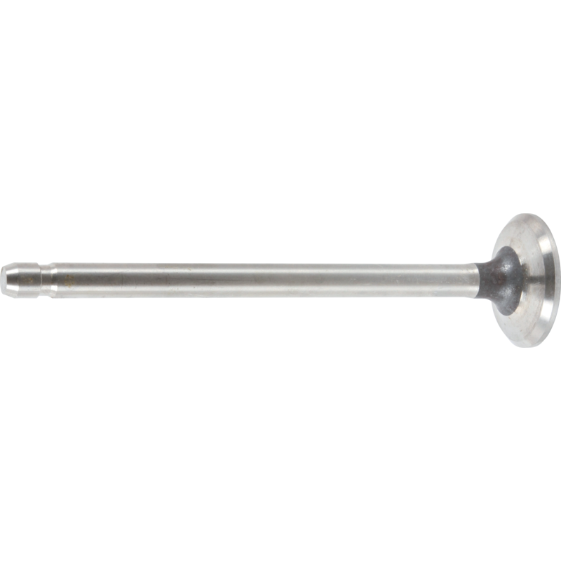 Briggs und Stratton Auslassventil 3261185, 691796 – anstelle von Modell: 250412 Briggs und Stratton