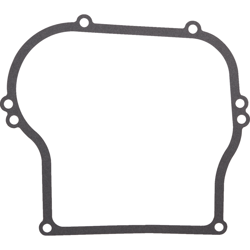 Briggs und Stratton Kurbelgehäusedichtung 692213 Briggs und Stratton