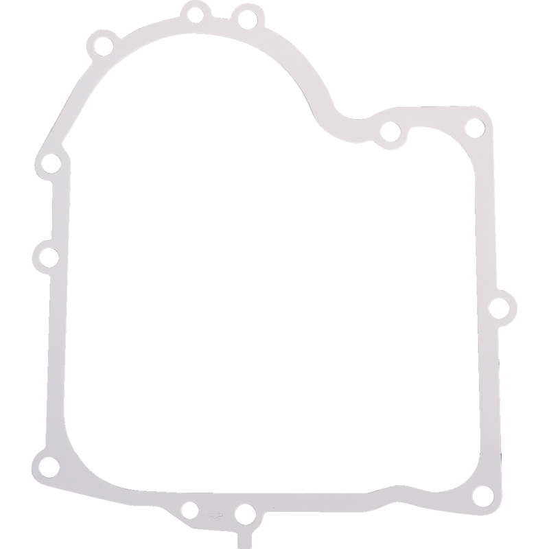 Briggs und Stratton Kurbelgehäusedichtung 692405 Briggs und Stratton