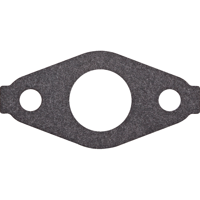 Briggs und Stratton Dichtung 692555 Briggs und Stratton