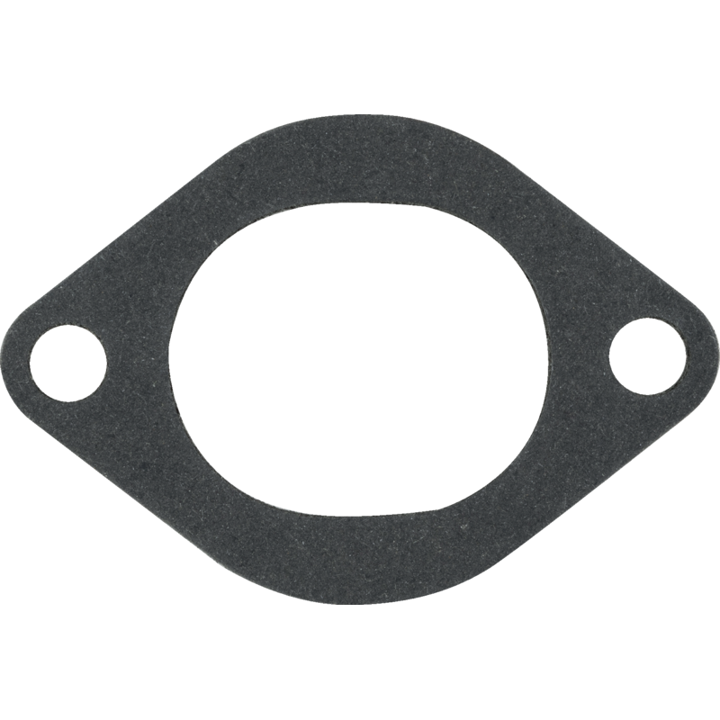 Briggs und Stratton Ansaugkrümmerdichtung 694874 Briggs und Stratton