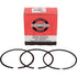 Briggs und Stratton Kolbenringe 696403 Briggs und Stratton