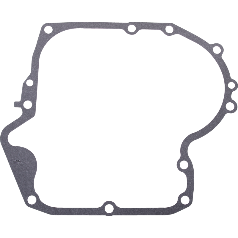 Briggs und Stratton Kurbelgehäusedichtung 697110 Briggs und Stratton