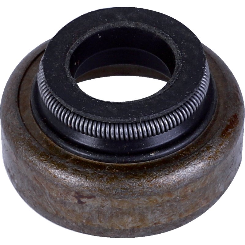 Briggs und Stratton Dichtring 697338 Briggs und Stratton