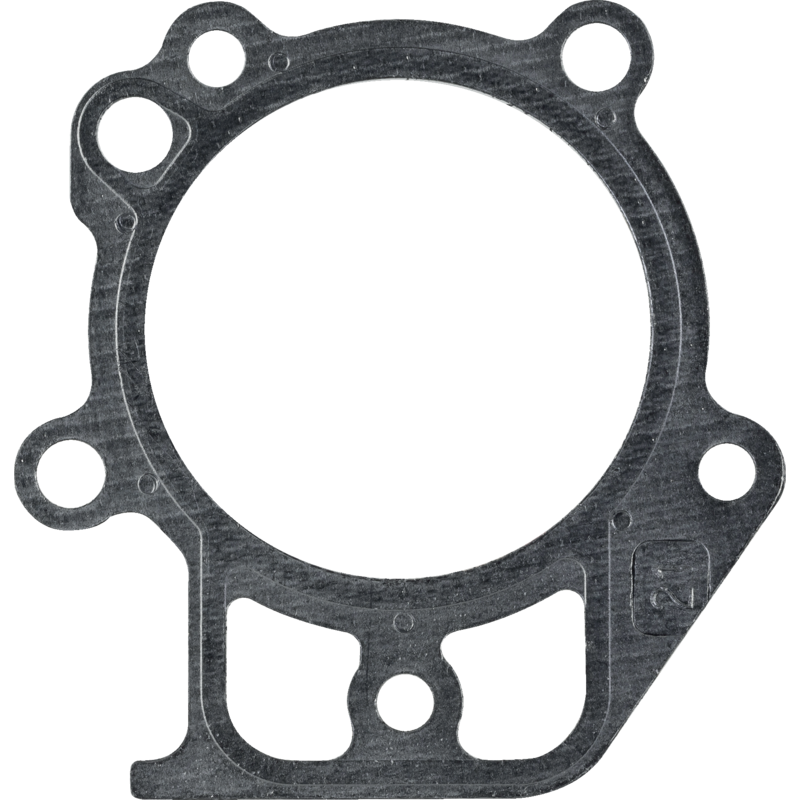Briggs und Stratton Zylinderdichtung 697690 Briggs und Stratton