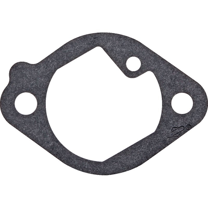 Briggs und Stratton Ansaugkrümmerdichtung 699800 Briggs und Stratton
