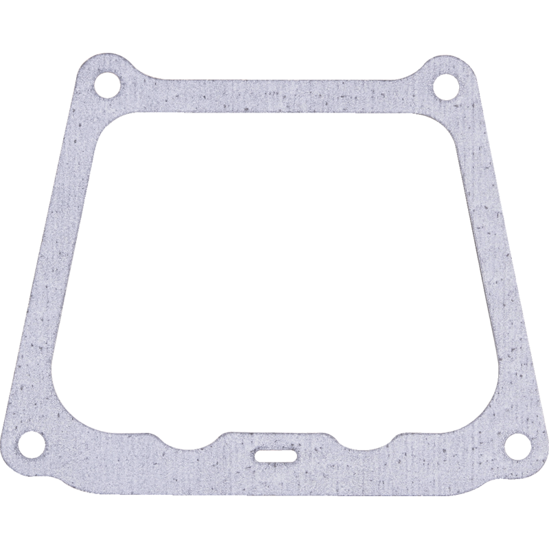Briggs und Stratton Dichtung 710377, 712431 Briggs und Stratton