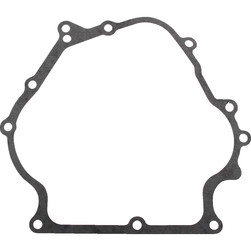 Briggs und Stratton Dichtung 710378 Briggs und Stratton