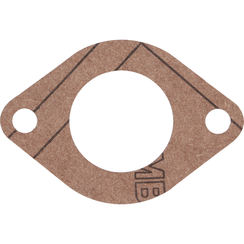 Briggs und Stratton Dichtung 710559 Briggs und Stratton