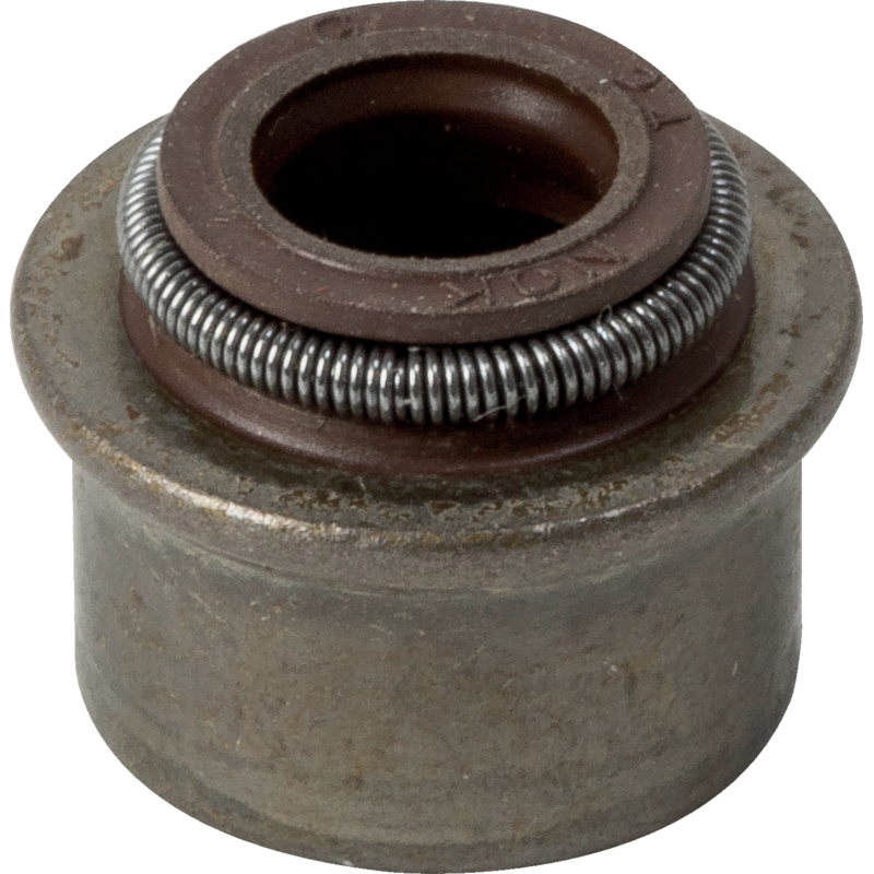 Briggs und Stratton Dichtring 710863 Briggs und Stratton