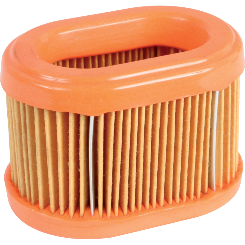 Briggs und Stratton Luftfilter – Nr. 790166 Briggs und Stratton