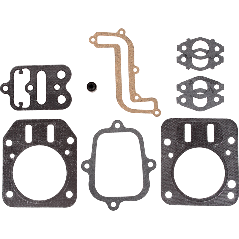 Briggs und Stratton Ventildichtungssatz – Nr. 791798 Briggs und Stratton