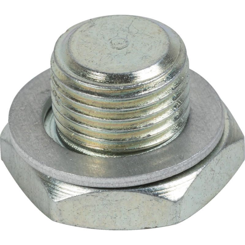 Briggs und Stratton Vergaserstopfen – Nr. 793465 Briggs und Stratton