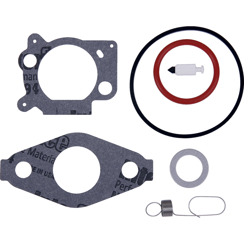 Briggs und Stratton Vergaserüberholsatz – Nr. 793622 Briggs und Stratton