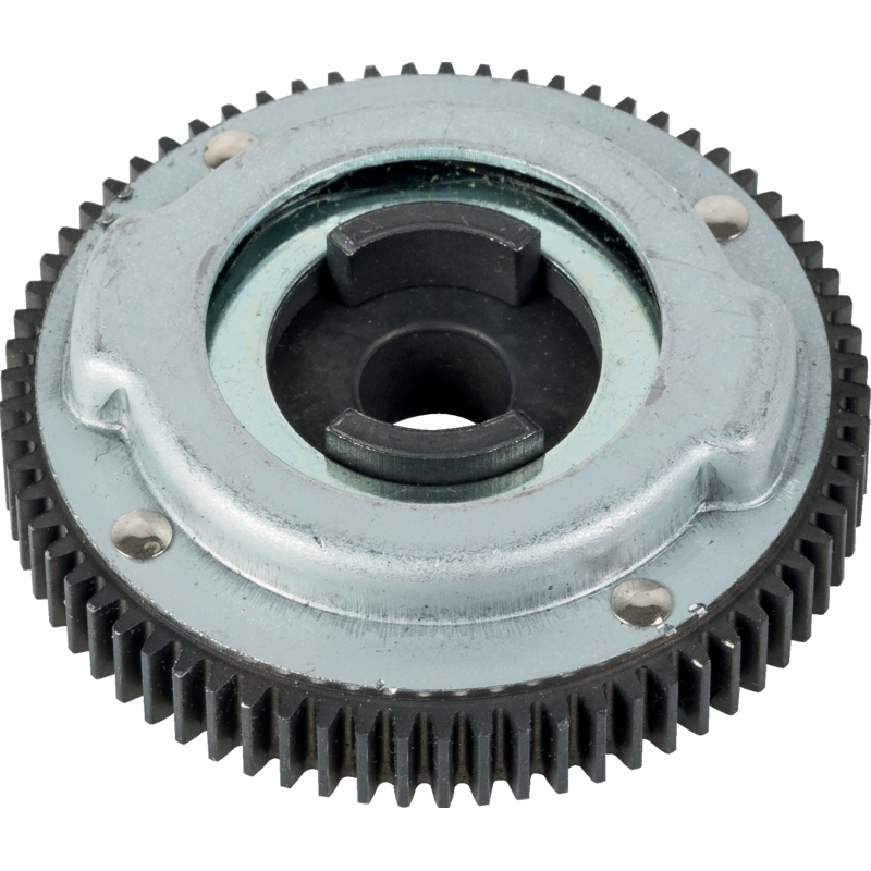 Briggs und Stratton Antriebszahnkranz – Nr. 795100 Briggs und Stratton
