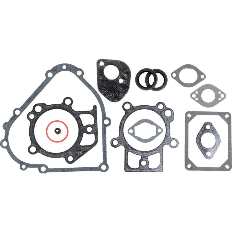 Briggs und Stratton Motordichtsatz – Nr. 795201 Briggs und Stratton