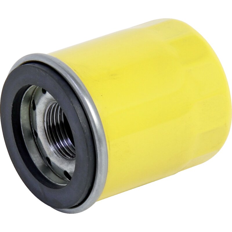 Briggs und Stratton Ölfilter 795990