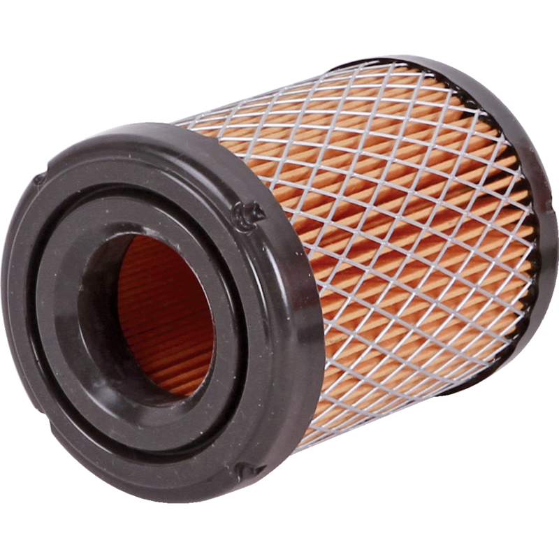 Briggs und Stratton Luftfilter Ersatz 591583 796032