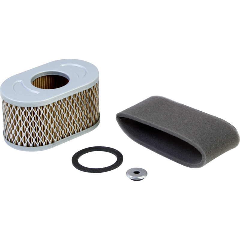 Briggs und Stratton Luftfilter 797033