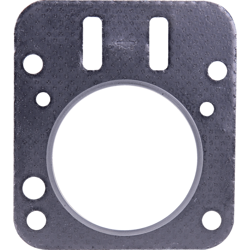 Briggs und Stratton Zylinderkopfdichtsatz – Nr. 798461 Briggs und Stratton
