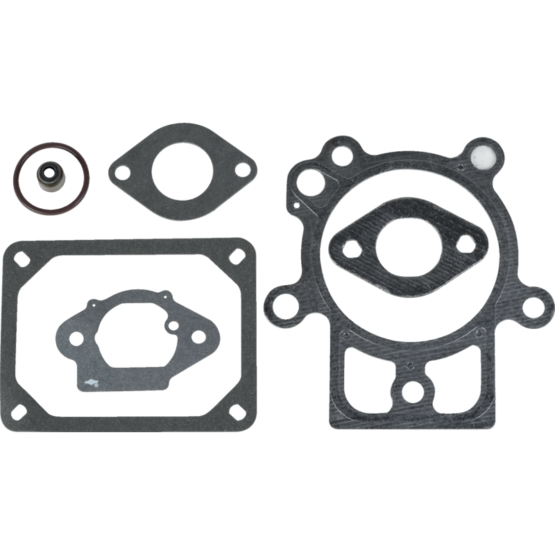 Briggs und Stratton Zylinderkopfdichtsatz – Nr. 798801 Briggs und Stratton