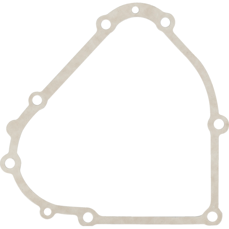 Briggs und Stratton Kurbelgehäusedichtung – Nr. 798807 Briggs und Stratton